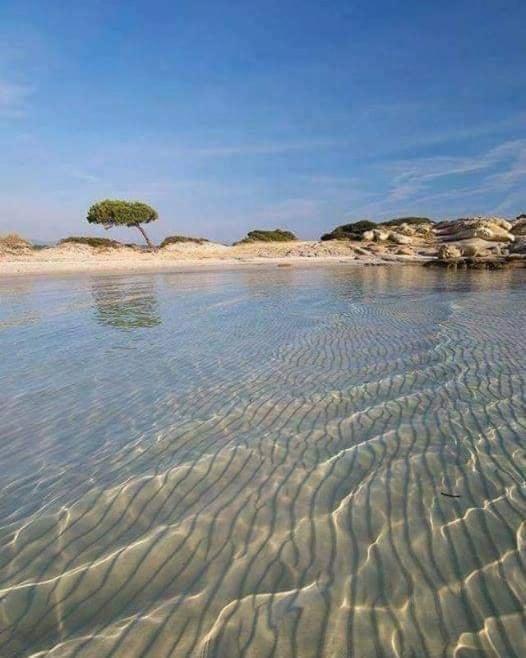 Villa Elea Vourvourou Bagian luar foto